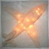 Applique Avion en voile de lin